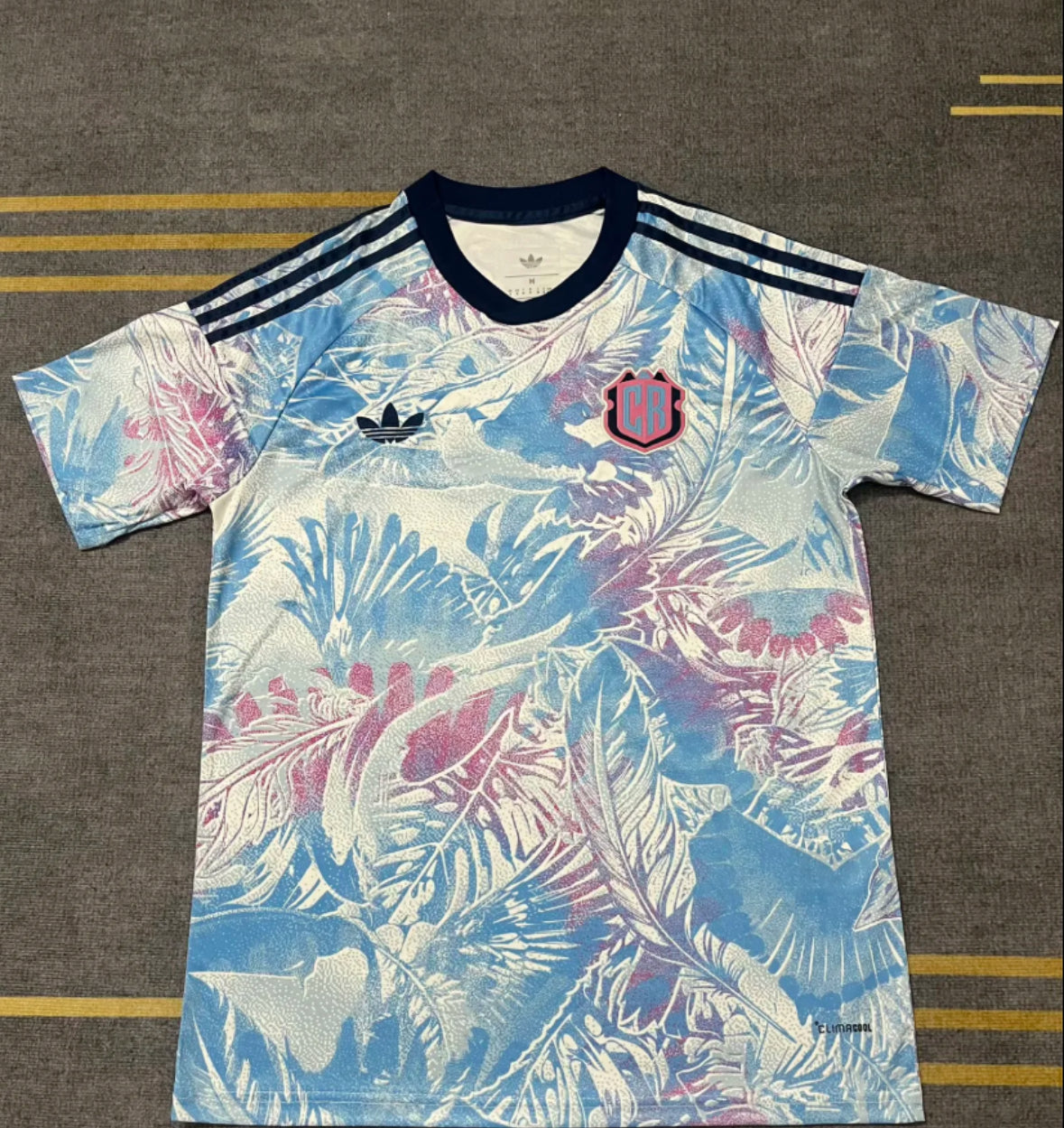 Costa Rica 2026 world Cup