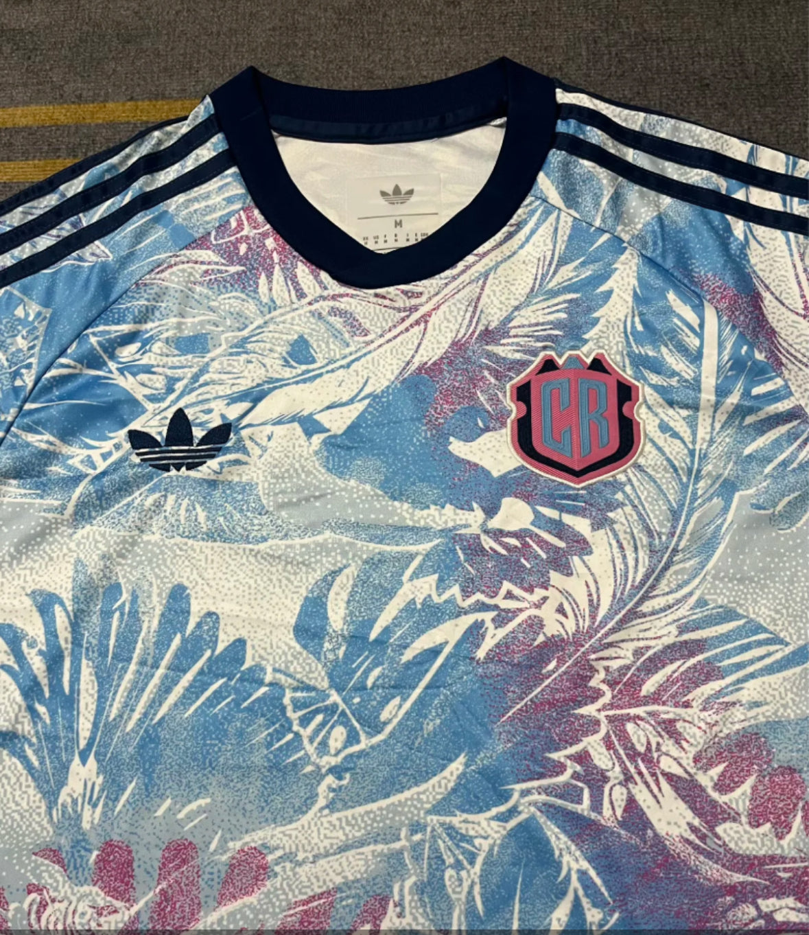 Costa Rica 2026 world Cup